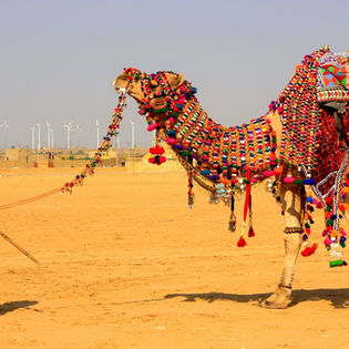 Khamma Ghani: RAJASTHAN